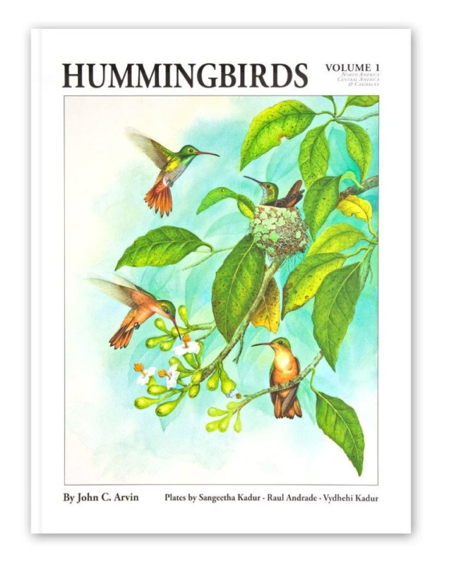 Hummingbirds Volume 1